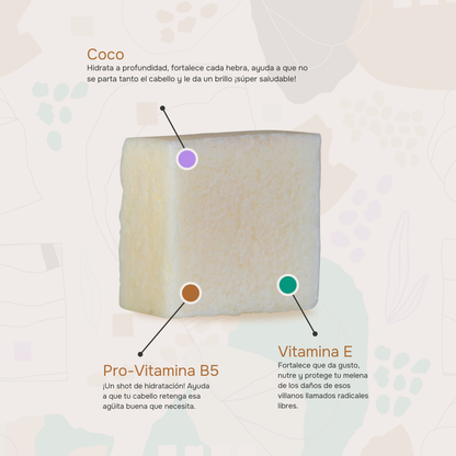 Dúo Koko: Shampoo + Acondicionador